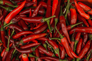 Lutte contre les nuisibles Cayenne